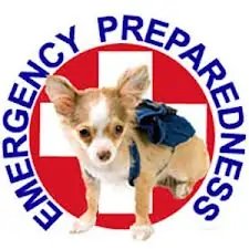 Preparing your Pet for Emergencies & Natural Disasters