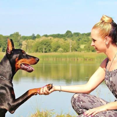 Things to consider before getting your next pet