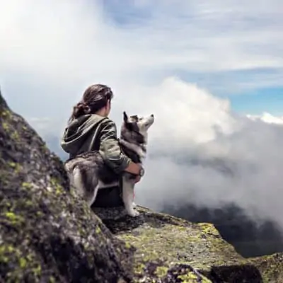 What to consider when taking your dog along for hiking