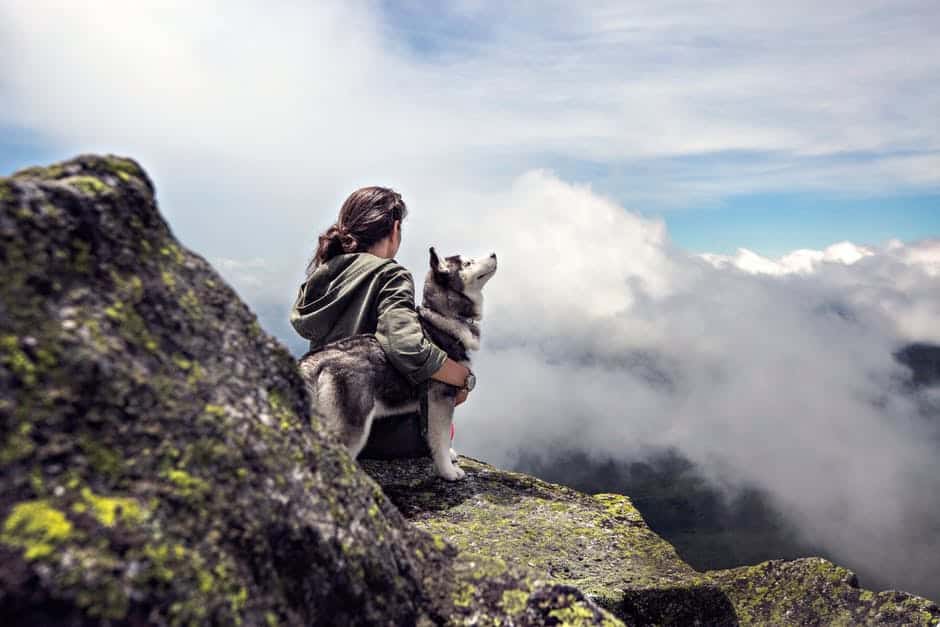 What to consider when taking your dog along for hiking