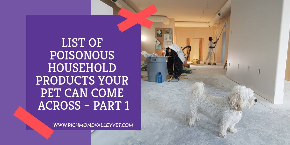 List of poisonous household products for you pet