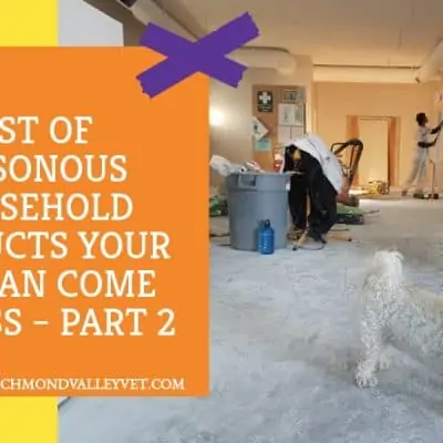 List of poisonous household products for your pet – Part 2