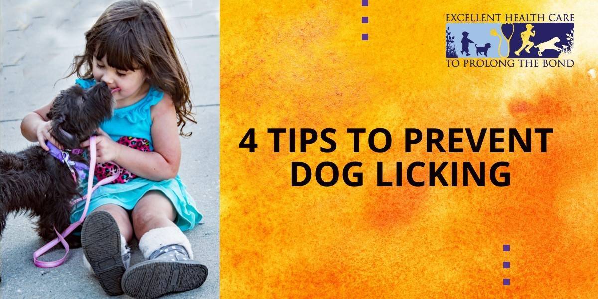 4 tips to prevent dog licking - Richmond Valley Veterinary Practice