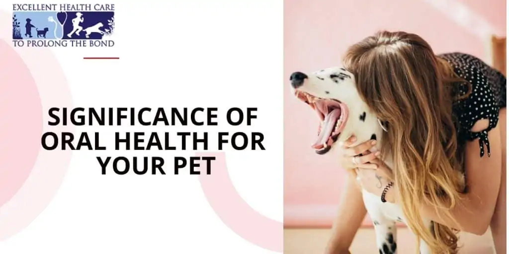 girl hugging a dog with white coat and black spots