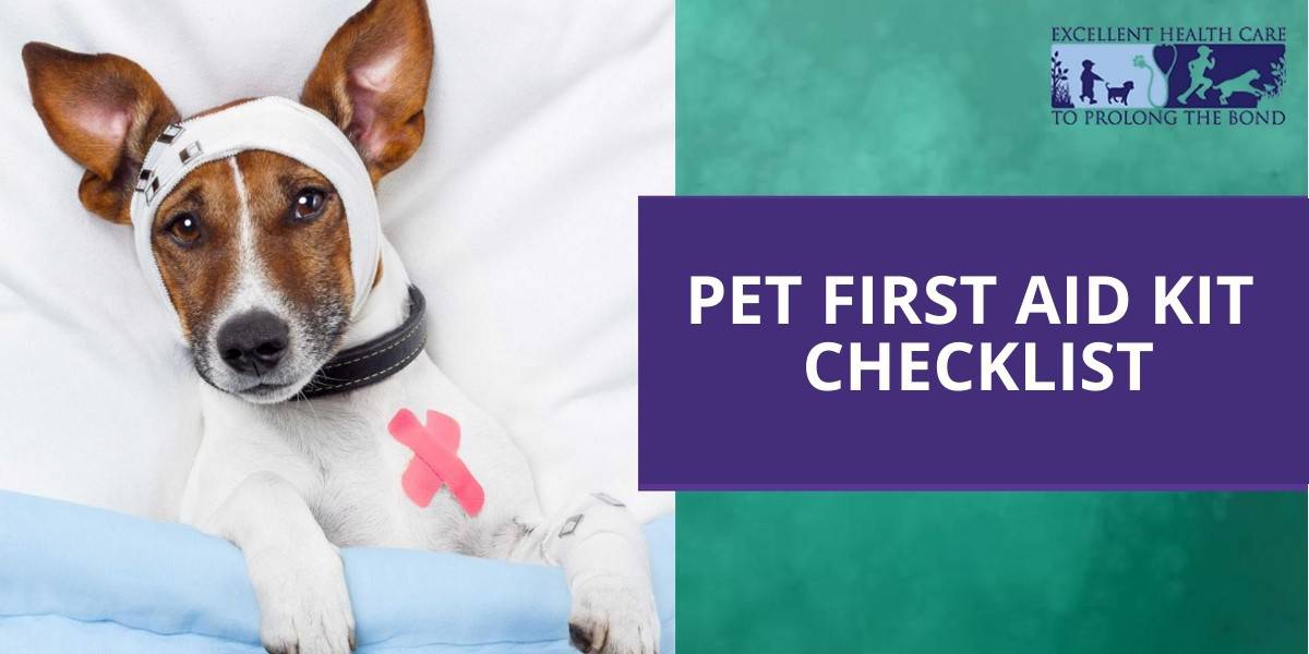 Pet First Aid Kit Checklist Richmond Valley Veterinary Practice